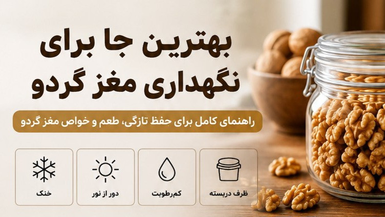 بهترین روش نگهداری مغز گردو در خانه + ترفند ماندگاری طولانی