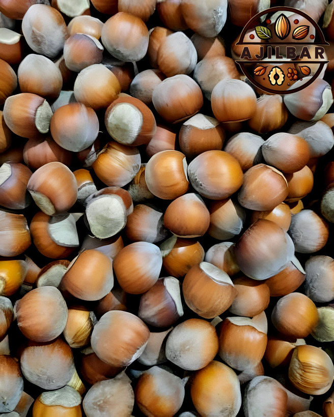 خرید فندق درشت و اعلای آذرشهر ارسال رایگان+قیمت