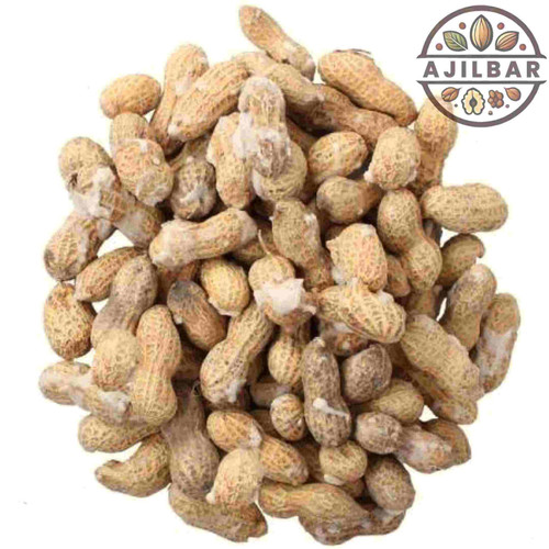 خرید بادام زمینی غلافدار نمکی آستانه اشرفیه، قیمت روز بادام زمینی با پوست برشته آجیل بار